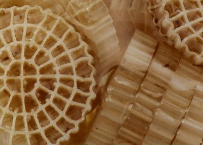 Virgin HDPE Malzemesi MBBR Plastik Bio Filtre Medyası İyi Yüzey Alanı