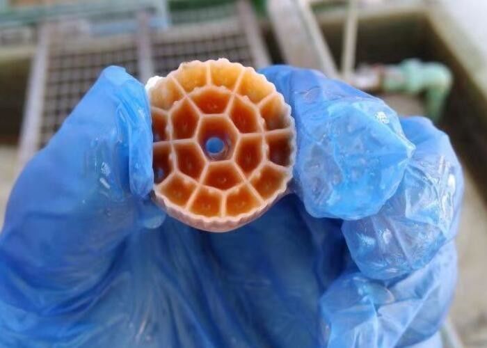 Akvaryum için siyah bakire HDPE malzemesi MBBR Plastik Filtre Medyası 25mm X 12mm