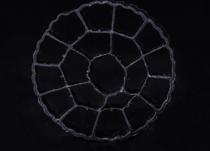 HDPE Malzemesi PE06 Bio Media, MBBR Filtre Medyası 25mm X 12mm Renkli
