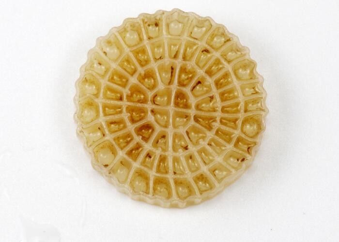 K5 Bio Top Filtre Medyası Ras Sistemi için, K1 Mikro Filtre 25*4mm Boyut